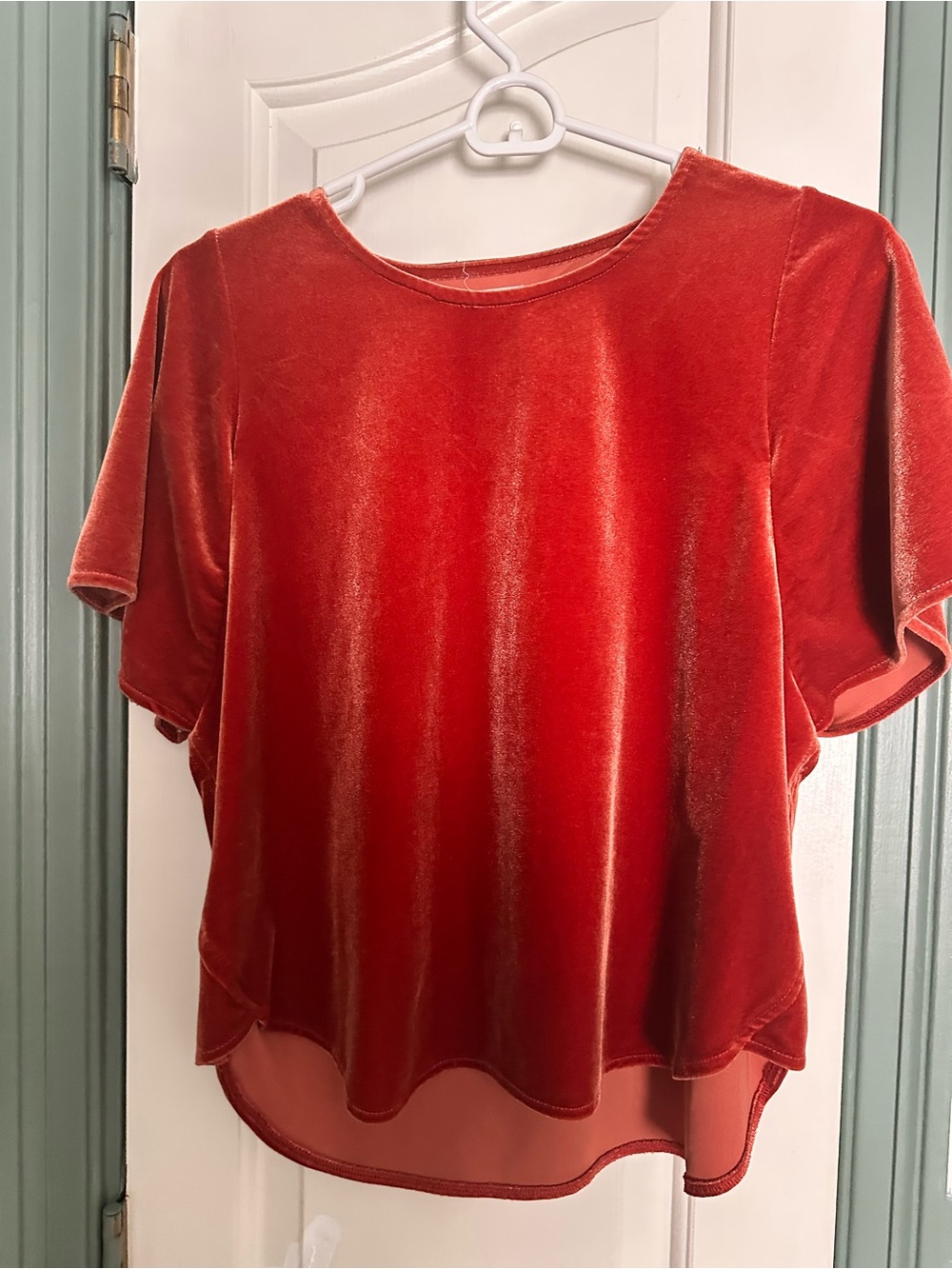 Madewell Women's Velvet Short-Sleeve Top in Red